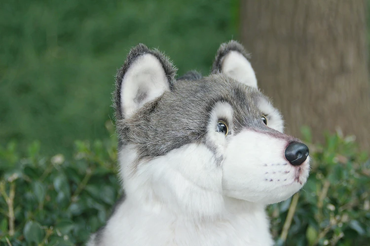 Brinquedo de Pelúcia Animal de Pelúcia Presentes de Aniversário para Crianças Dropshipping Fofo Lobo Realista Macio Adorável Plushy Crianças Boneca Menino 6 boneca fofo presentes de aniversário para crianças menino