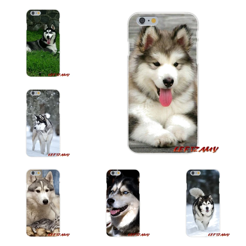 Прозрачный мягкий чехол для телефона Alaskan Malamute Siberian husky dog Sony Xperia Z Z1 Z2 Z3 Z4 Z5 compact M2 M4