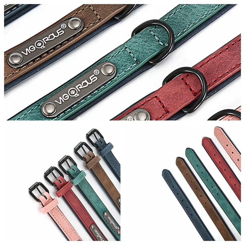 dog collar (4)