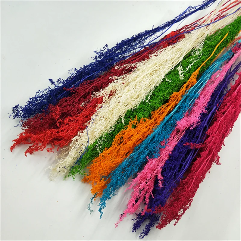 

5ke / batch of eternal flower material accessories dried flowers wormwood DIY handmade glass cover key chain accessories materia