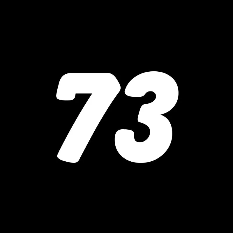 15*11 1 см Забавный номер 73 виниловый стикер для автомобиля Стайлинг наклейка