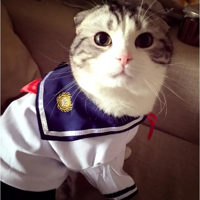 Новые Темно кошка одежда Pet костюм моряк форма одевания юбка летняя хлопковая для