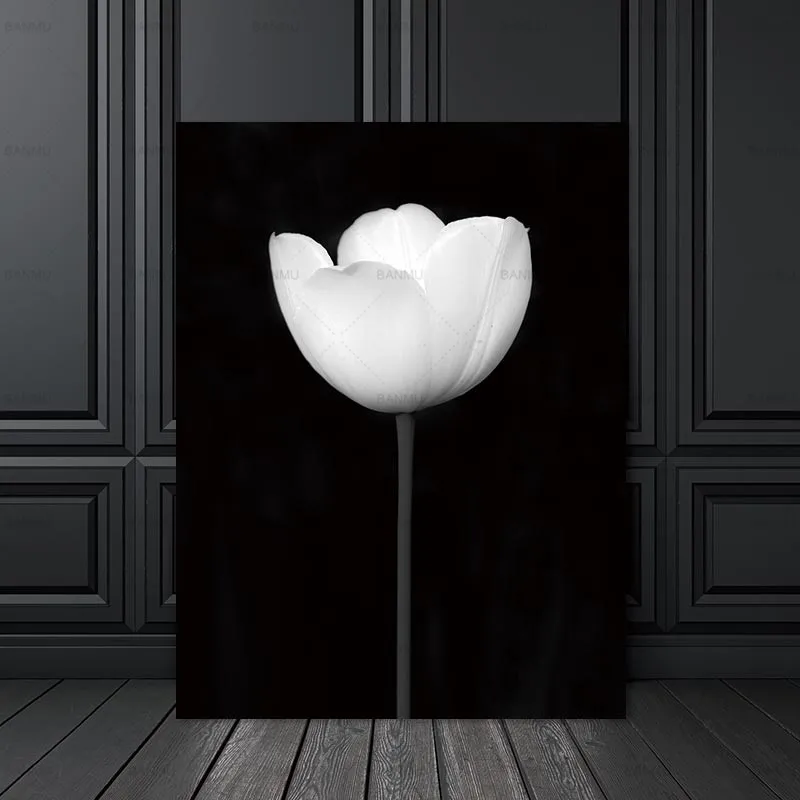 WP0681-4