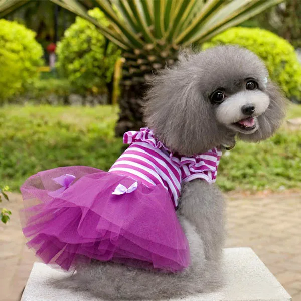 UK Small Dogg одежда милая собака щенок полосой лук кружева пачка платье юбка WX