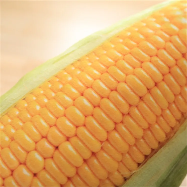 10461919002_1004025115