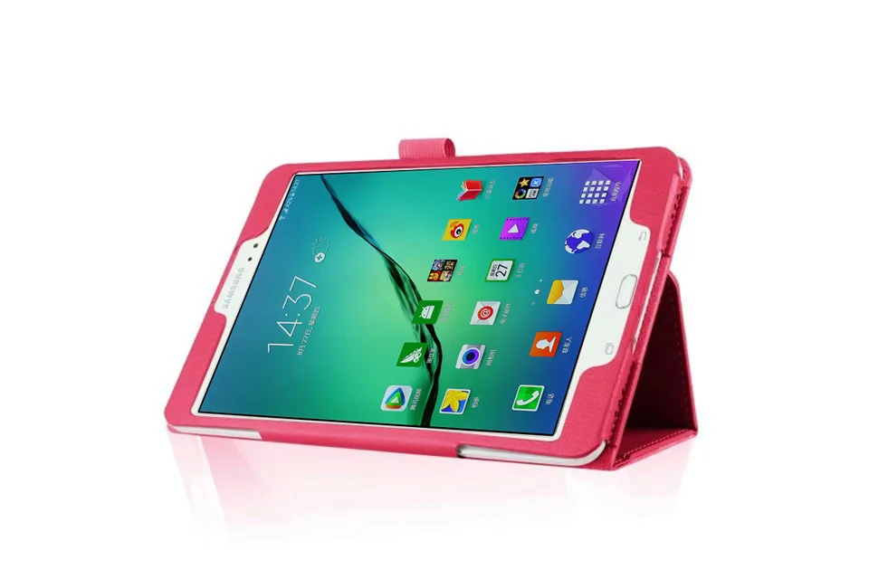 T815 case (19)