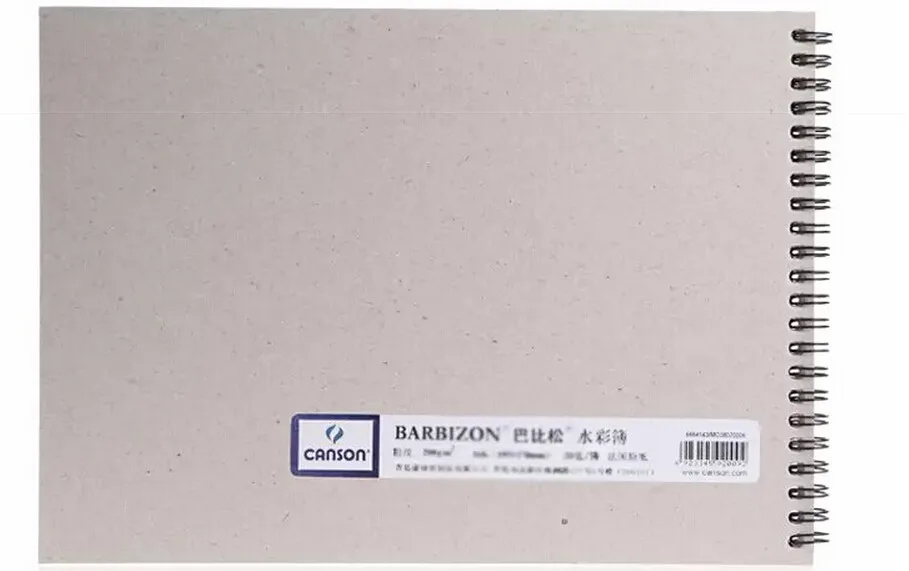 Canson 200 г 8 К barbizon акварель книга 270x195 мм canson 20 шт. Акварельная бумага для художника