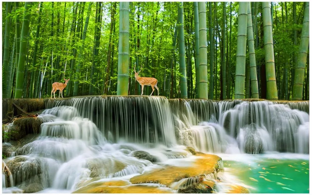 36020171127204733328