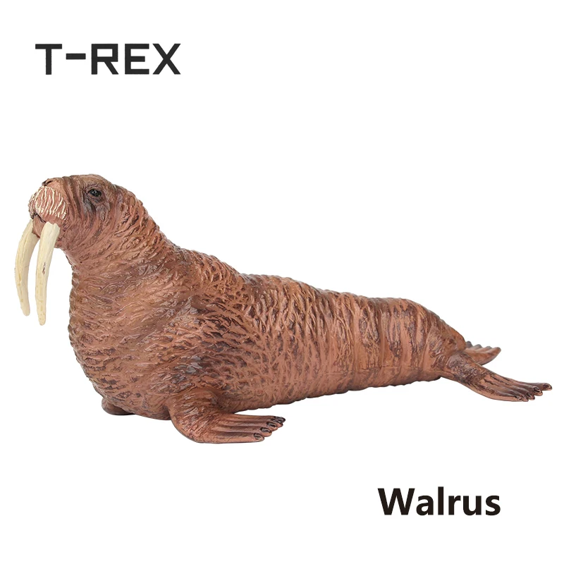 T-REX 15 CM Simulation Walrus Sea Life animal PVC Model Kids Learning Educational Solid Figure Toys Gift for Boys