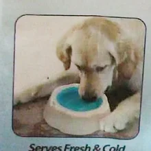 Высокие технологии США! Собака Кошка миска для щенка кормушка Кормление диспенсер морозная миска