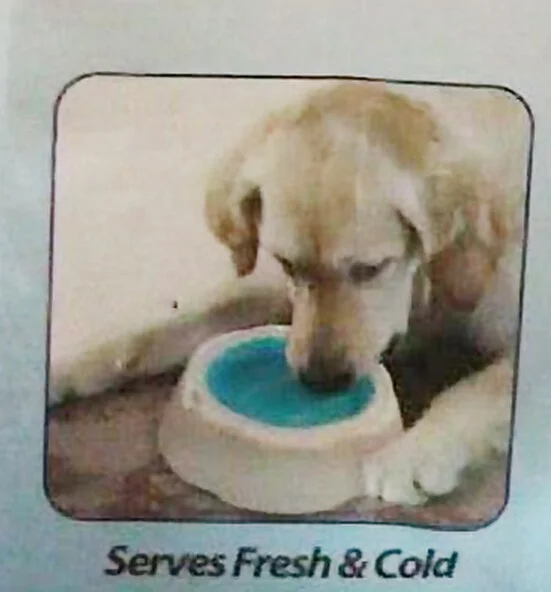 

US high tech! pet dog cat puppy bowl feeder feeding dispenser FROSTY COOL BOWL