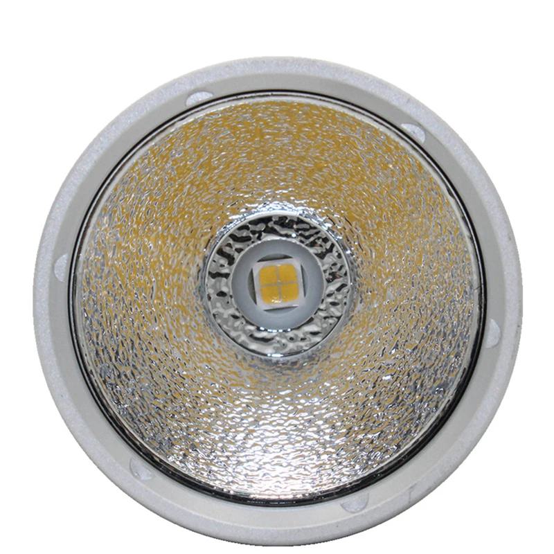 torch waterproof
