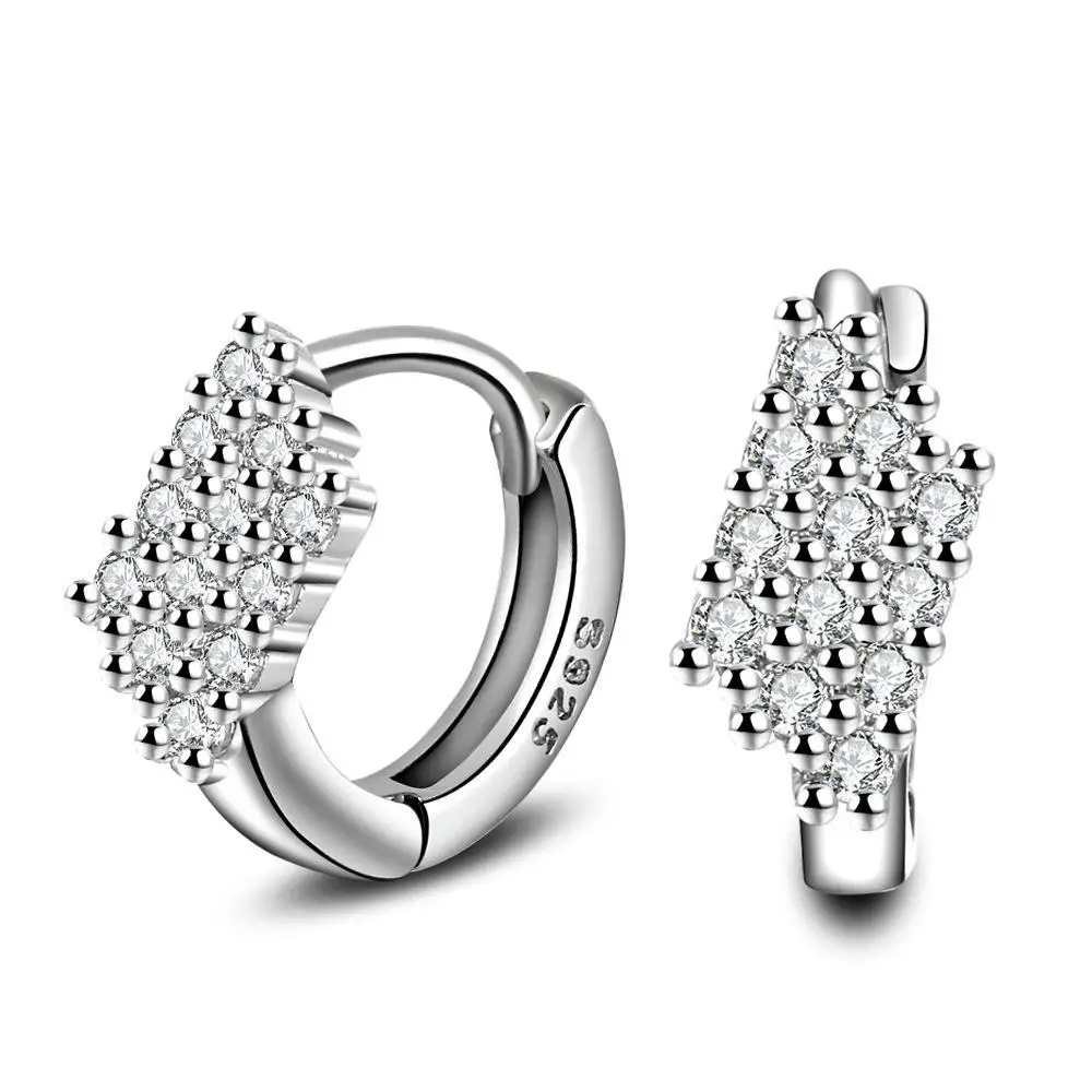 Fashion Boutique Zircon Stud Earrings For Women Earring Earings 925
