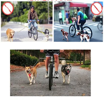 

Stainless Steel Bicycle Walking the Dog Good Tool Dog Exerciser Leash Built-in Buffer Spring Soft Easy Pull Tug for Outdoor