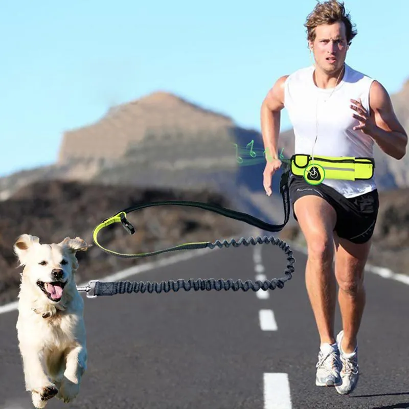 Hands Free Sport Leash For Dog Running Waist Bag Jogging Medium Dog