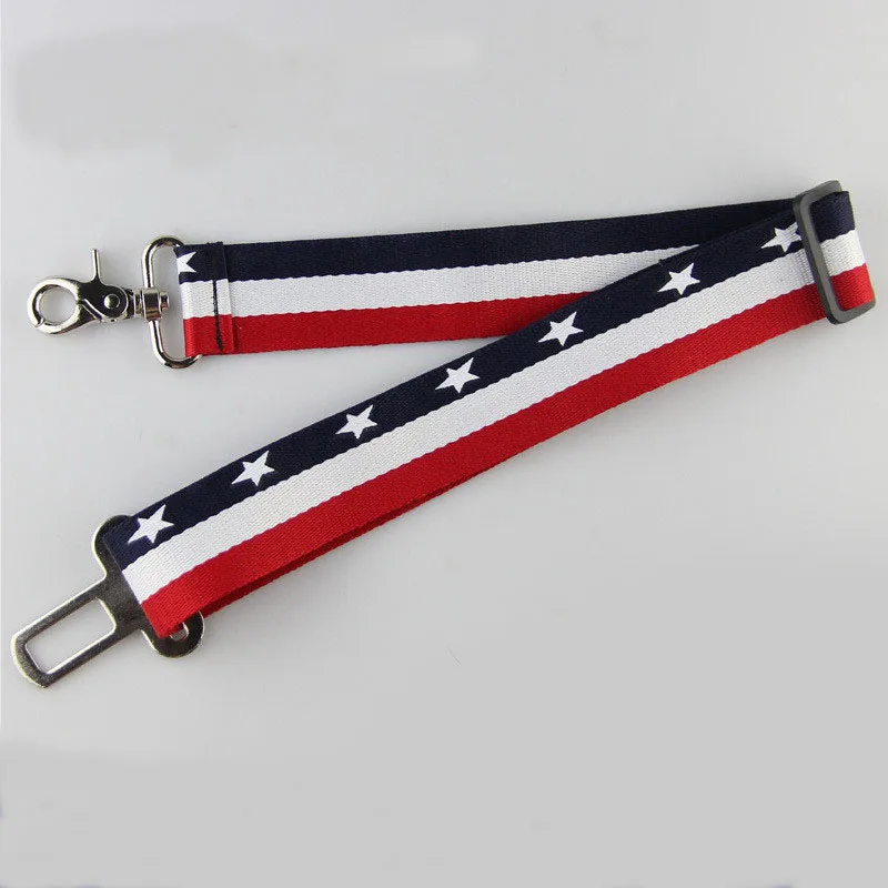 dog leash (2)