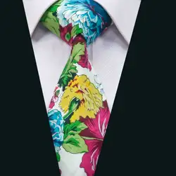 LD-1353 Новое поступление Барри. Ван Fashoin Для мужчин красочные хлопок галстук бренда Дизайн галстук Gravata для вечерние свадебные