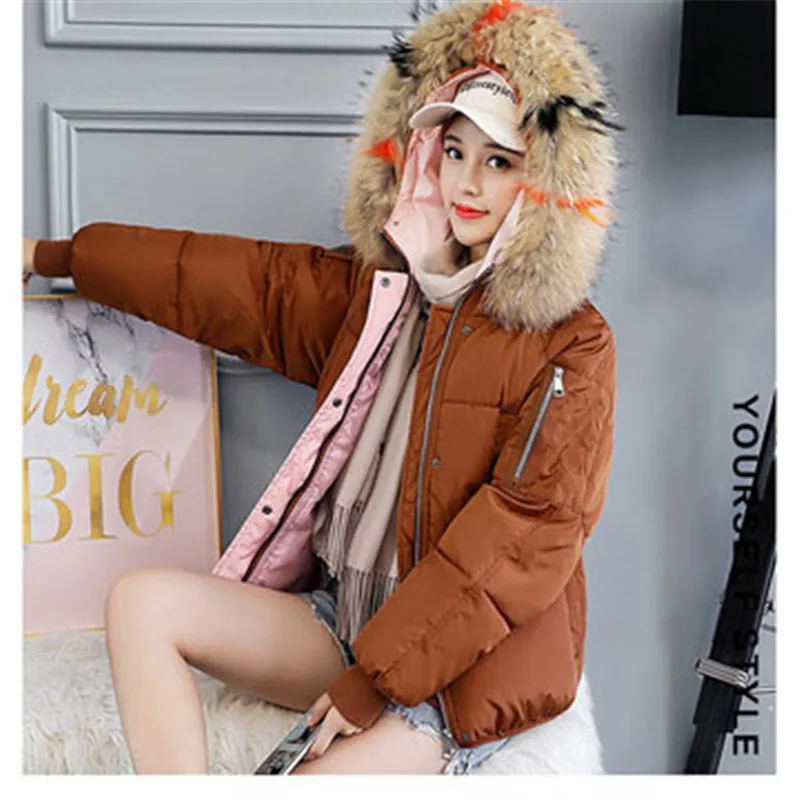 2018 cotton women short winter new European and American loose bread clothes small cotton jacket thick cotton clothing women