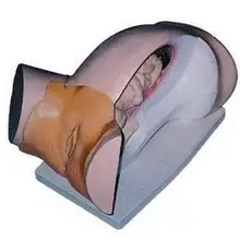 Медицинский тренировочный миникин для школьной кожи