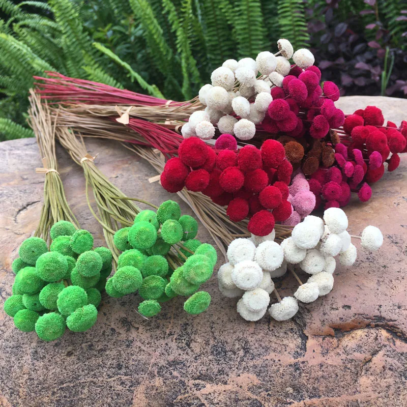 

60PCS/1cm head Natural Dried Botton Flower,Home Floral Wedding Christmas Decor Gift,Preserved Flower Beauty and the Beast Rose