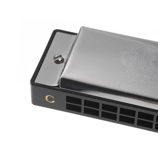 SWAN Hot Sale Tremolo Harmonica Mouth Organ 24 Double Holes with 48 Reeds Key of C Free Reed Wind Instrument with Silver Case