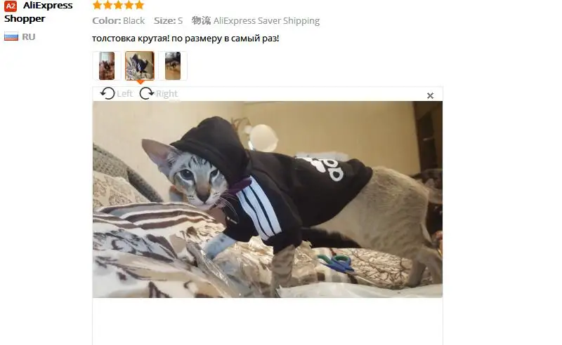 cat1