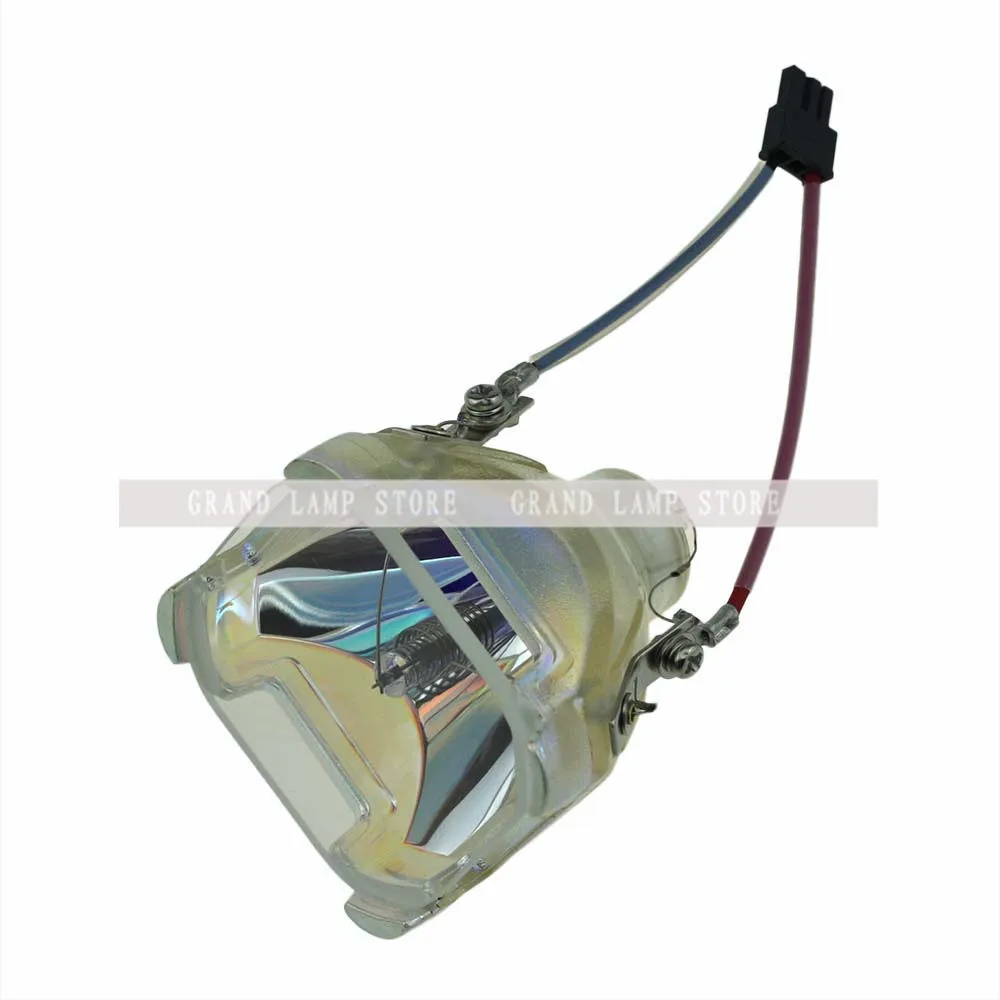 SP-LAMP-005-2