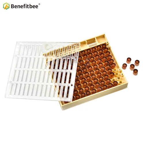 Rearing box kit