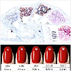 400 шт, 60 цветов, разные размеры, ss4-ss12, для дизайна ногтей, не горячей фиксации, хрустальные стразы, сделай сам, плоские с оборота, 3D стеклянные украшения для ногтей, стразы
