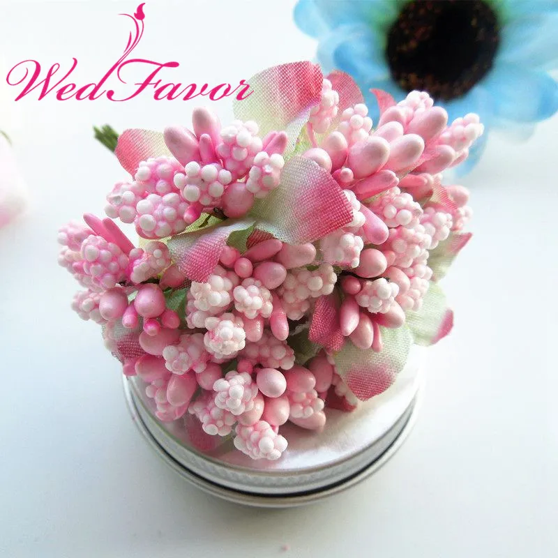 DSCN5685_
