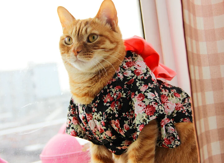 Limited Offer Japan Style Pet Cat Kimono small flower pet clothes dog
