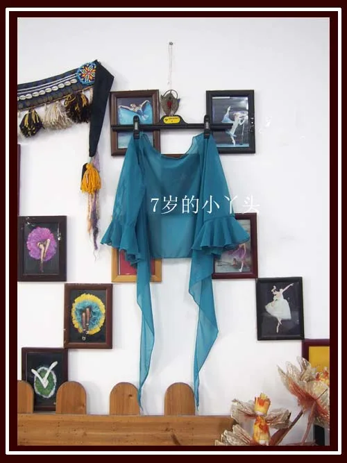 

Belly dance top Transparent thin belly danc small flare Blouse Top CD 29