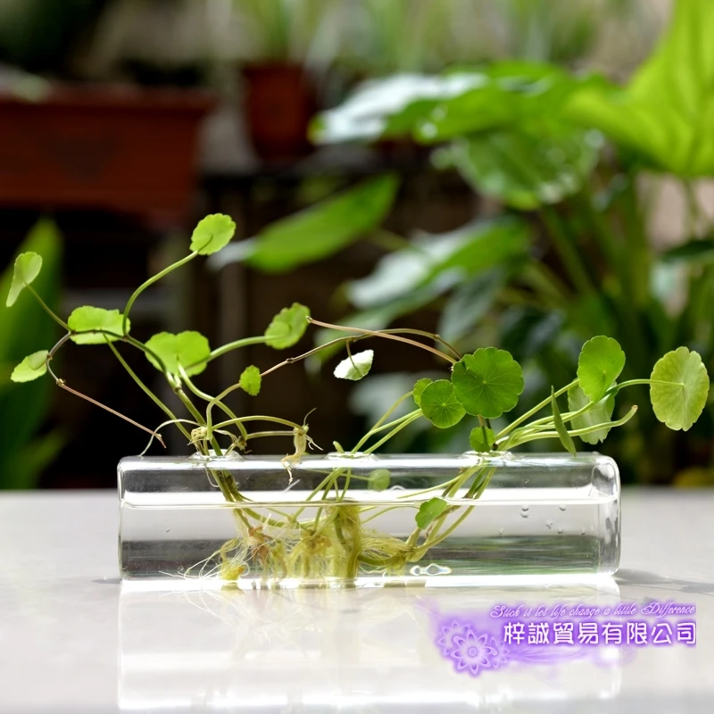 Cuboid Vase Christmas Table Terrarium Glass Flower Vase Wall Round Sphere Tabletop Vases Home Decoration Transparent