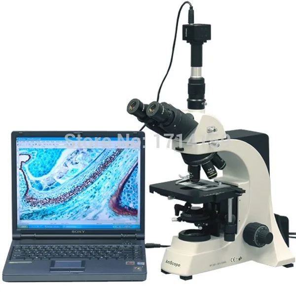 Профессиональный лабораторный Биологический микроскоп AmScope 40X 2500X + 10MP камера|camera