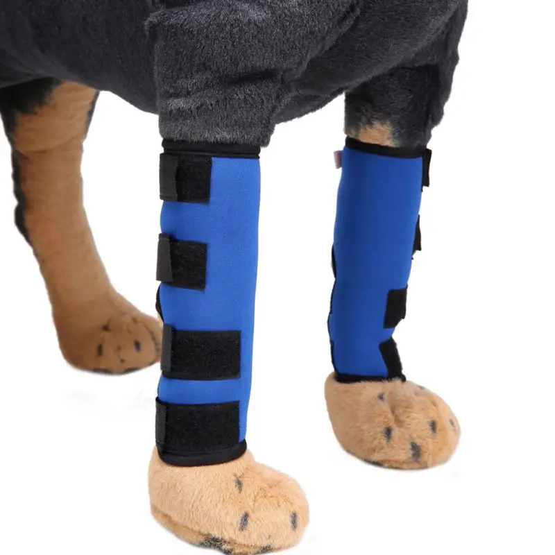 1 Pair Supportive Dog Leg Protector Dog Canine Rear Leg Dog Leg Joint Surgery Injury Wound