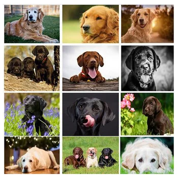 

5D Diy Diamond Painting Labrador Cross Stitch Needlework Diamond Embroidery Dog Full mosaic Rhinestone wedding decorationZP-1742