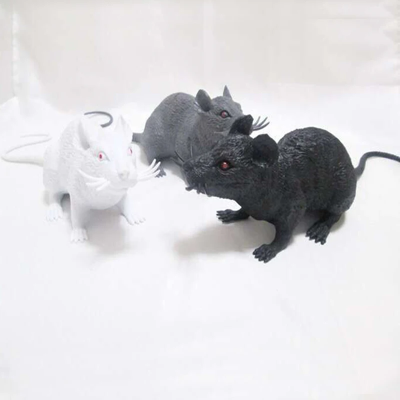 rat-2