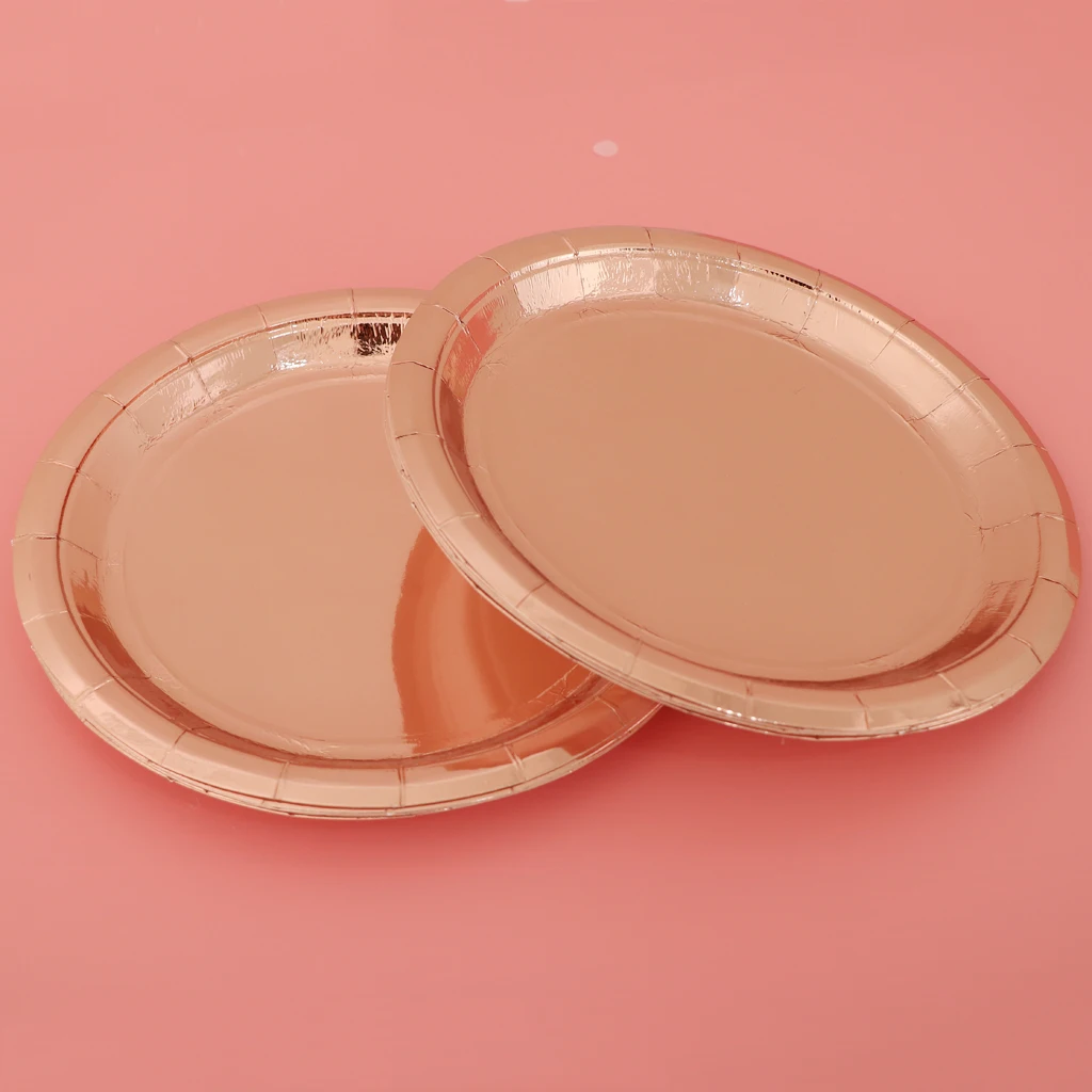 10pcs Disposable Paper Plates Dinner Plates Dessert Plates for Thanksgiving Christmas Baby Shower Wedding Birthday