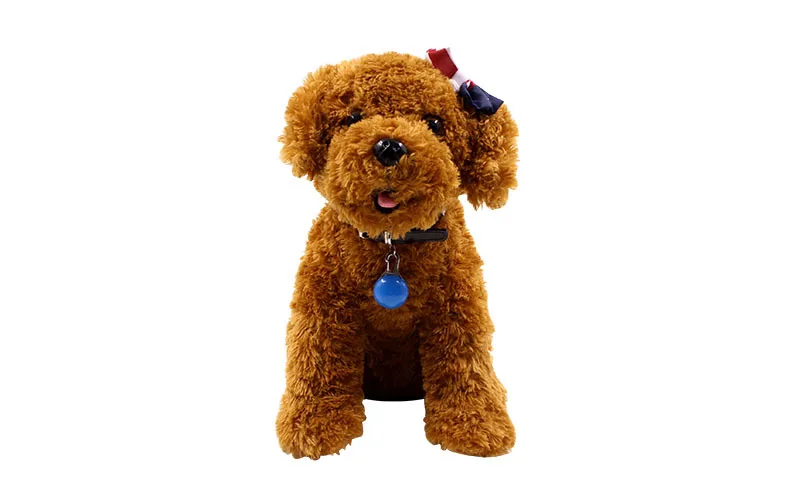 8072055863_1041227635