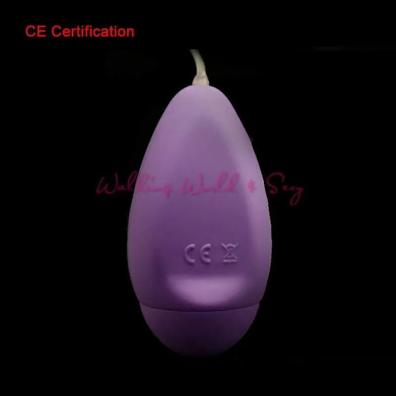 10 Speed Waterproof Jump Egg Vibration Remote Control Vibrating Egg Femal Masturbate Massager Bullet Vibrator Sex Toys For Women (6)