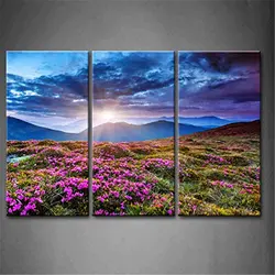 3 Панель Стены книги по искусству закат Горный пейзаж Небесно шторм фиолетовые цветы живопись картина, печать на холсте домашний декор