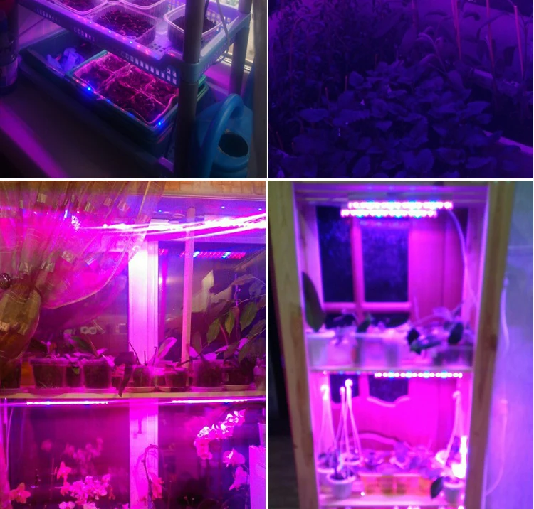 660nm+ 455nm высокоэффективный светодиодный светильник для выращивания T5 аквариумный светильник используется для выращивания овощей цветов фруктов и т. д. вход 90-265 в