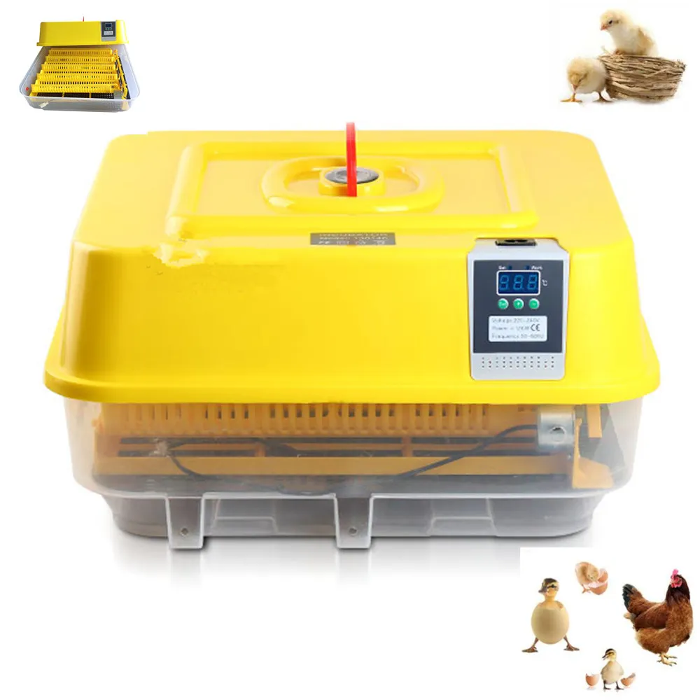 Eggs automatic Incubator Chicken Duck Goose Quail Pigeon