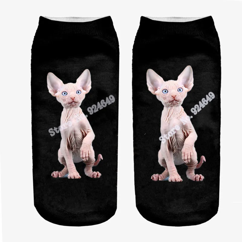 5553190_103831328001_2__