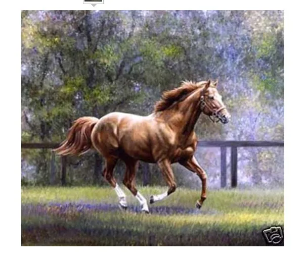 24x36&quot.Modern Abstract Huge Art Oil Painting Excellent horse on Canvas no framed | Дом и сад