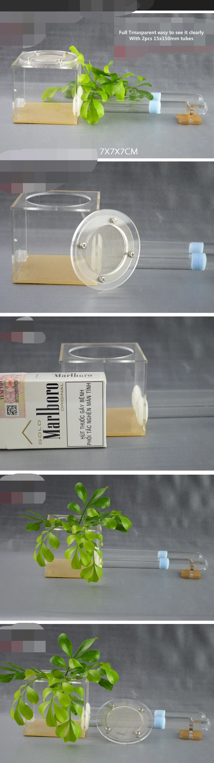 glass-tube-ant-farm (2)