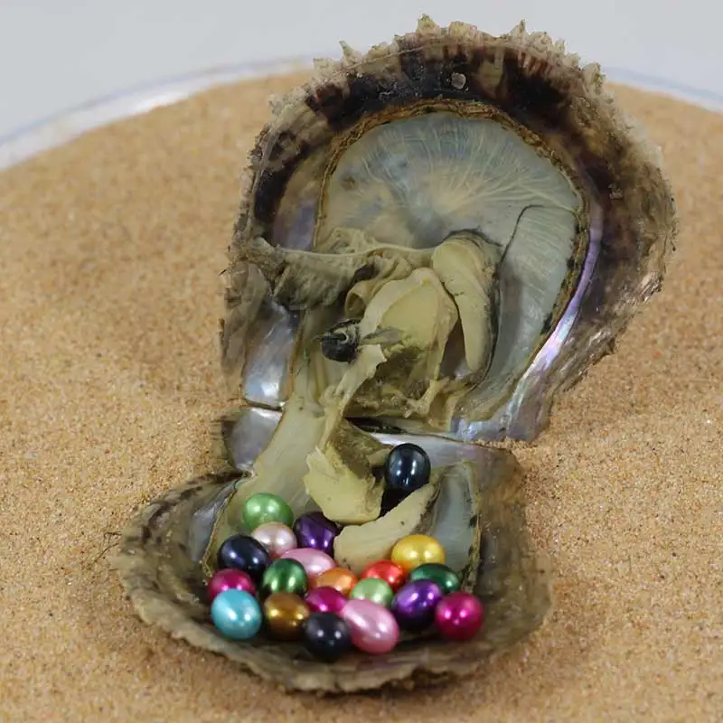 

Colorful Rice Pearls Akoya Oyster Popular Mini Monster 10-20 Oval Pearls Mega Monster Vibrant Multiple Pearls Oyster Gift GFP454