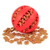 Pet Products