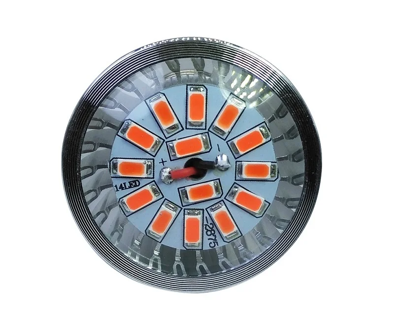 indoor grow light (4)