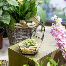 Pentagon Shape Glass Geometric Terrarium Small Modern Artistic Clear Jewel-boxed Moss Fern Flowerpot